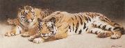 John Charles Dollman Two Wild Tigers oil on canvas